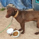 사곡면사무소 이미지