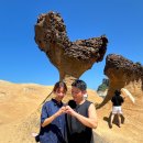 세븐일레븐 대구이안드림점 | 타이베이]대만2일차-인디고트래블 예스진지 투어 후기 예스진지 투어 추천⭐️ 예스진지 버스투어 대만투어...