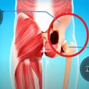 라인짐2호점 이미지