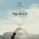 비유화인 이미지