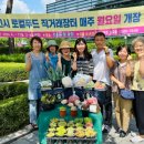 신선채소 이미지