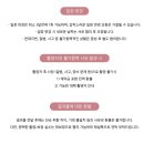 정인플라워 | 서울아이폰스냅 경기아이폰스냅 웨딩스냅 파필리오스냅 계약 후기