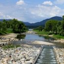 신장둔치 이미지