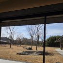 들꽃풍경 | 담양 대형카페 들꽃숲 방문 솔직 후기