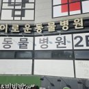 이로운 동물병원 이미지