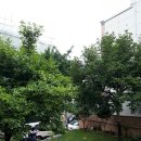 가풍농장 이미지