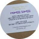 미니정원(테라리움) 네이버블로그
