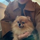 서울논현초등학교 | [내돈내산/찐리뷰] 서울 논현동 강남역 애견카페 4주 연속 방문했던 &#39;멍돌핀&#39;