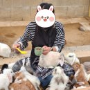 토북팜 이미지