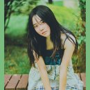 스타일펫츠 이미지