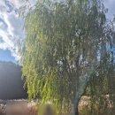 자연학습장관리사 화장실 | 청주 산당산성 자연마당 산책 후기｜벼과 식물군락지 따라 걷는 생태 힐링 코스