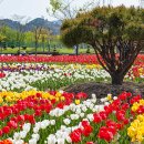 주소 맞은편 공원 이미지