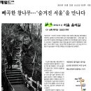 참나무 숲길 이미지