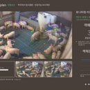 이젠축산 이미지