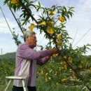 김부자농장 이미지