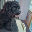 살롱드삐삐 이미지