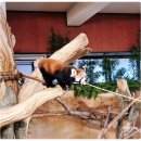 중부-현장-중부-905 | 오키나와 북부 '네오파크 나고자연동식물공원 _ 아이들과 가볼만한 곳 추천!