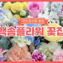 백송플라워
