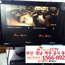 쁘니애견 이미지