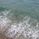 고래불 해수욕장 20251101 이미지