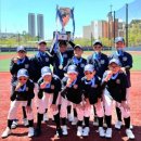 대구칠성초등학교 이미지