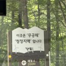 승우목장 | 여행 | 대관령 양떼목장 [삼양 라운드힐] : 비 오는 날 아이랑 양떼목장 후기, 입장료, 수유실, 화장실