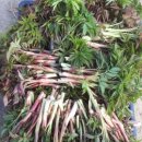 고향뜰 농장 이미지