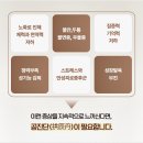 명환 이미지