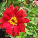 세원마트 이미지