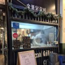 숯불에 닭 웨스턴돔점 이미지