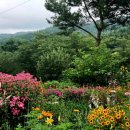 안흥종묘사 이미지