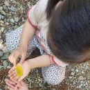 풍산초병설유치원 이미지