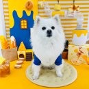 카페멍스 이미지