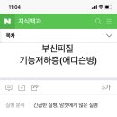 우리 댕댕이 애디슨병이래 이미지