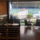 커피블러썸(coffee blossom) 이미지