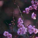 하우스농장 이미지