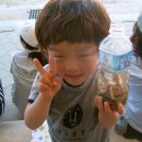 사봉초등학교 이미지