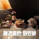 광주애견동반 와인바 _ 용봉동 와인에빠지다 (내돈내산)