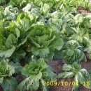 병걸농장 이미지