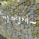 노은로3 이미지