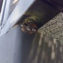 스타세차장 이미지