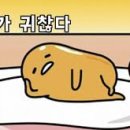 한국어문회 이미지