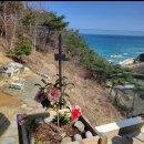 강릉스테이 이미지