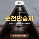 순천만풍경 | 순천만습지 쌍안경 대여 입장료 주차 교육정보까지 총정리