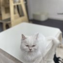 베키보육원 네이버블로그