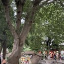 (주)지오자오 | 중국 상하이 가볼만한 곳_ 주가각 여행, 가는방법 정리/ 중국 전통수향마을 주가각 후기