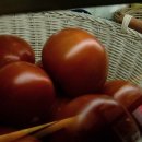 동네카페로뎀 이미지