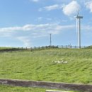 큰골목장 이미지