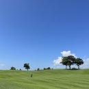 파인어패럴 이미지