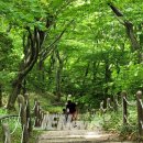 선인6리 | (불교순례길 탐방) &#34;존자암은 유명한 절로 알았더니..속세 생각 이미 함께 사라지네.&#34;